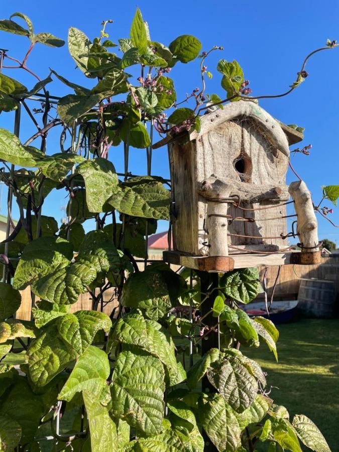 Ki Dragonfly Guesthouse Кингскот Экстерьер фото